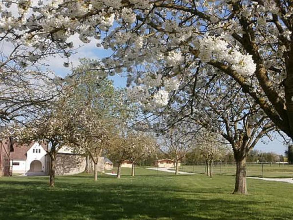 Domaine De Soignolles Hotell Eksteriør bilde